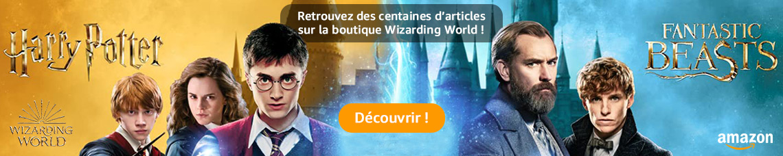 Bannière Boutique Wizarding World