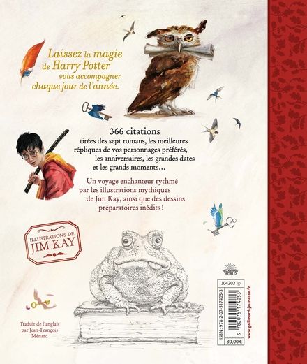quatrième de couverture Une année de magie Harry Potter Gallimard Jeunesse