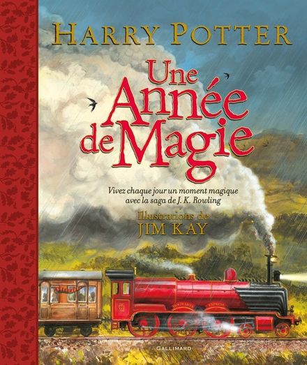 Page de couverture Une année de magie Harry Potter